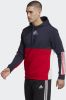 Adidas Sportswear Sweatshirt ESSENTIALS COLORBLOCK FLEECE HOODIE online kopen