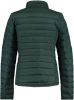 America Today gewatteerde jas van gerecycled polyester midnight green online kopen