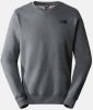 The North Face Sweater Simple Dome Crew online kopen