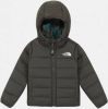 The North Face Reversible Perrito Toddler Jas Junior Taupe online kopen