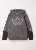 Adidas Originals SPRT Collection Hoodie Grey Five online kopen