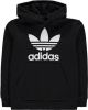 Adidas Trefoil basisschool Hoodies Black 70% Katoen, 30% Polyester online kopen