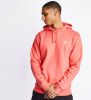Adidas Originals Sweatshirt ADICOLOR ESSENTIALS TREFOIL HOODIE online kopen