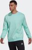 Adidas Entrada 22 Sweatshirt Clear Mint Heren online kopen