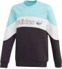 Adidas Originals sweater lichtblauw/zwart online kopen