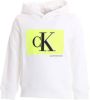 Calvin Klein Momogram hoodie van biologisch katoen met logoborduring online kopen