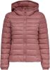 Only 15156569 Short Down Jackets , Paars, Dames online kopen