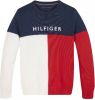 Tommy Hilfiger Fijngebreide trui van biologisch katoen met logoborduring online kopen