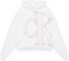 Calvin Klein Hoodie ILLUMINATED CK HOODIE met kleurrijke ck print online kopen