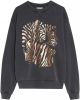 Catwalk Junkie regular fit sweater Zebra van biologisch katoen donkergrijs online kopen