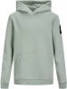 Jack&amp, Jones Kids Jcoclassic Sweat Hood Ln Jnr 152 online kopen