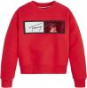 Tommy Hilfiger Kg0Kg06162 Sweatshirt , Rood, Unisex online kopen