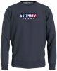 Tommy Jeans TJM Entry Graphic Crew Sweatshirt , Blauw, Heren online kopen