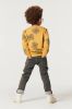Noppies ! Jongens Sweater -- Okergeel Katoen/polyester online kopen