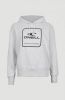 O'Neill hoodie met printopdruk lichtgrijs online kopen