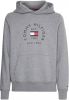 Tommy Hilfiger Sweater hilfiger flag arch hoody mw0mw27842/zn2 online kopen