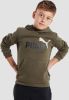 Puma essentials+ 2 col big logo trui groen kinderen online kopen