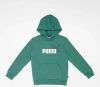 Puma essentials+ two tone big logo trui groen kinderen online kopen