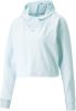 Puma Flawless pullover hoodie 521551 20 online kopen