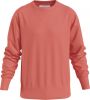 Calvin Klein Sweater j30j314035 xlv , Rood, Heren online kopen