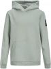 Jack&amp, Jones Kids Jcoclassic Sweat Hood Ln Jnr 152 online kopen