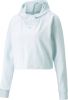 Puma Flawless pullover hoodie 521551 20 online kopen