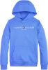 Tommy Hilfiger Essential hoodie met logoborduring online kopen
