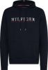 Tommy Hilfiger hoodie Corp Graphic met logo desert sky online kopen