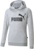 Puma hoodie grijs melange online kopen