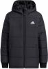 Adidas Gewatteerd Winterjack Black/Black/White online kopen