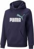 Puma essentials+ 2 col big logo fleece trui blauw kinderen online kopen